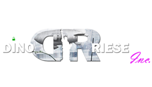 Web Design & SEO | DinoRiese.com Inc. Logo image