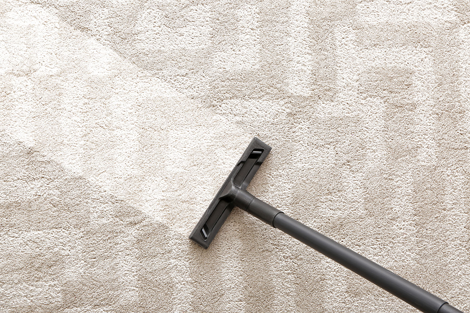 New Resident Cleaning, Suffolk County New York |  Royalty Cleaning Service